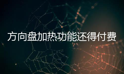方向盤(pán)加熱功能還得付費(fèi)訂閱 新能源汽車(chē)消費(fèi)糾紛調(diào)查