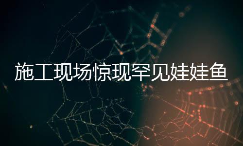施工現(xiàn)場驚現(xiàn)罕見娃娃魚，一條魚的奇幻之旅揭秘保護(hù)之路