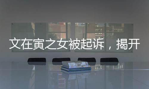文在寅之女被起訴，揭開事件真相的序幕