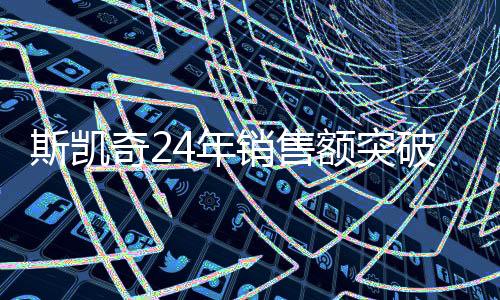 斯凱奇24年銷售額突破89.7億大關(guān)，探究其成功的關(guān)鍵因素