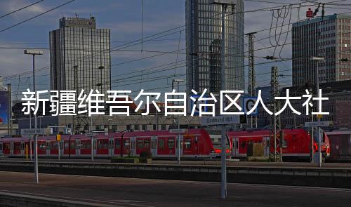 新疆維吾爾自治區(qū)人大社會建設(shè)委員會主任委員張巖被查