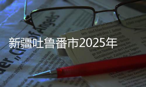 新疆吐魯番市2025年一季度重大項(xiàng)目集中開復(fù)工