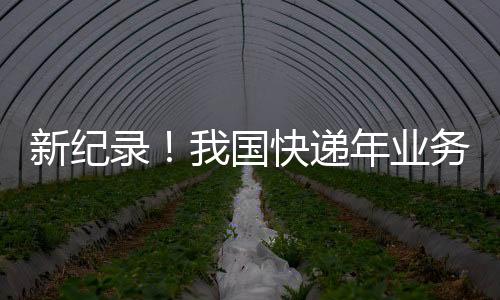 新紀錄！我國快遞年業(yè)務量首次突破150000000000件：人均收超100件