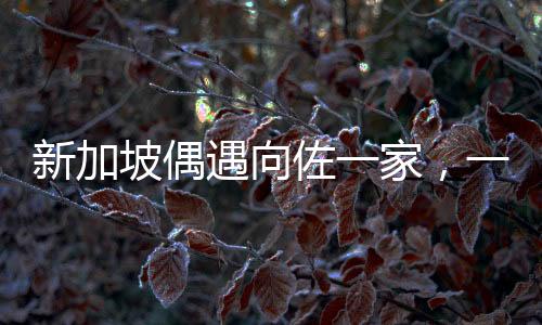 新加坡偶遇向佐一家，一次意外的驚喜之旅