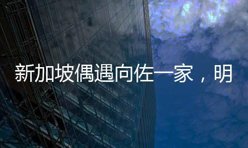 新加坡偶遇向佐一家，明星家庭的溫馨瞬間