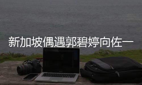 新加坡偶遇郭碧婷向佐一家，星光熠熠的親子游