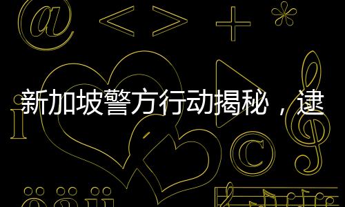 新加坡警方行動揭秘，逮捕九人與DeepSeek傳聞的背后真相揭秘