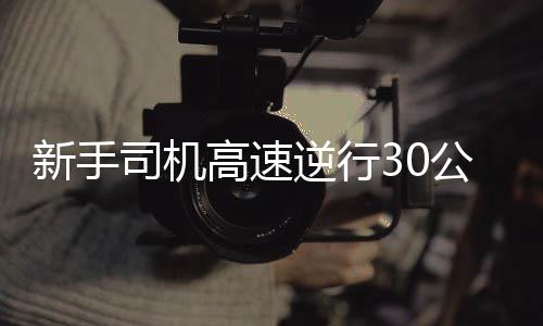 新手司機(jī)高速逆行30公里，驚險事件引發(fā)社會關(guān)注