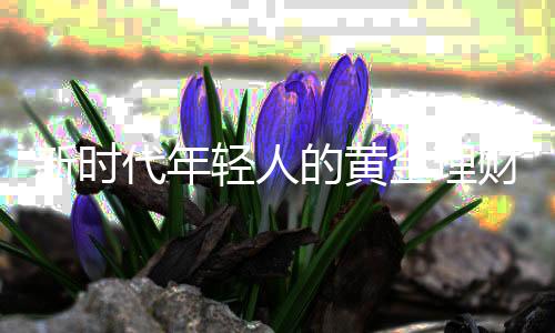 新時代年輕人的黃金理財觀，00后月薪三千每月買黃金現(xiàn)象深度解析