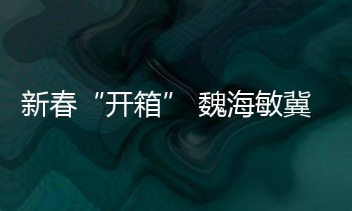 新春“開(kāi)箱” 魏海敏冀兩岸共同弘揚(yáng)傳統(tǒng)戲曲