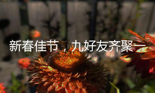 新春佳節(jié)，九好友齊聚一堂共賀父母拜年之喜