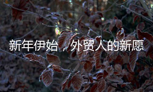 新年伊始，外貿(mào)人的新愿景——在外貿(mào)行業(yè)中探索前行的心路歷程