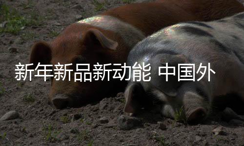 新年新品新動(dòng)能 中國(guó)外貿(mào)含“新”量超高