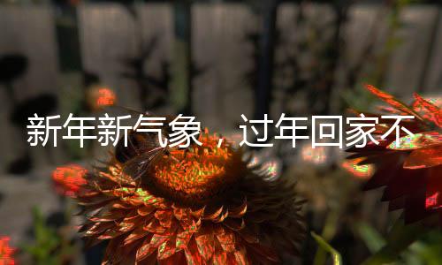 新年新氣象，過年回家不玩手機(jī)，這些事情值得一試