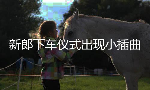 新郎下車儀式出現(xiàn)小插曲，重新開啟幸福旅程