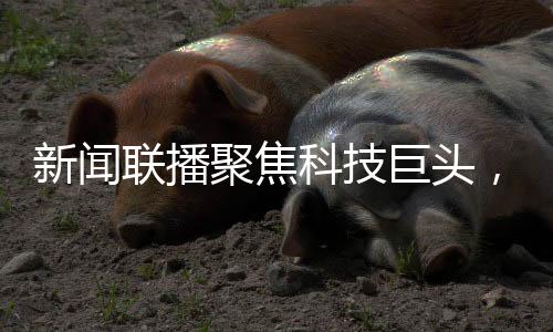 新聞聯(lián)播聚焦科技巨頭，王傳福與雷軍共同亮相熒屏大放異彩