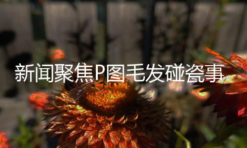 新聞聚焦P圖毛發(fā)碰瓷事件引發(fā)社會(huì)熱議，關(guān)聯(lián)面包店被卷入風(fēng)波