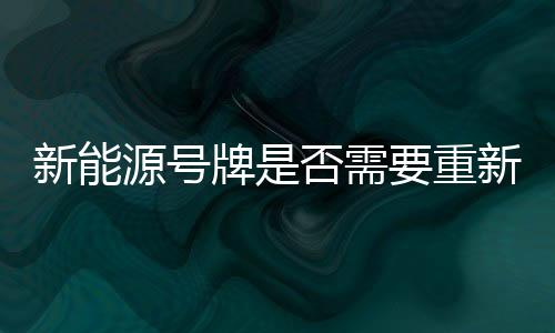 新能源號(hào)牌是否需要重新設(shè)計(jì)，深度探討與多元視角分析