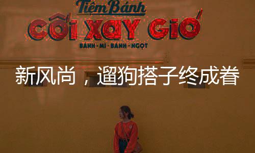 新風尚，遛狗搭子終成眷屬，婚禮隨份子時狗狗名字成亮點