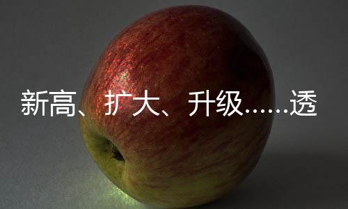 新高、擴(kuò)大、升級(jí)……透過關(guān)鍵詞看外企堅(jiān)定投資中國