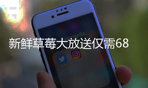 新鮮草莓大放送僅需68元，輕松擁有30斤甜美草莓，這個冬天你值得擁有！