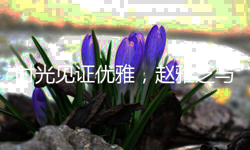 時(shí)光見(jiàn)證優(yōu)雅，趙雅芝與葉童的不老傳說(shuō)