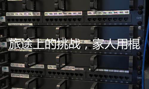 旅途上的挑戰(zhàn)，家人用棍子抬著一只不愿行走的狗子的奇妙旅程