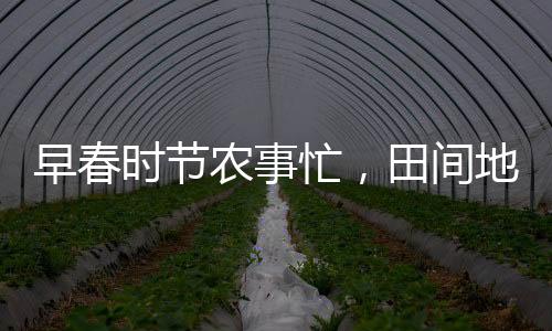 早春時(shí)節(jié)農(nóng)事忙，田間地頭見(jiàn)繁忙景象