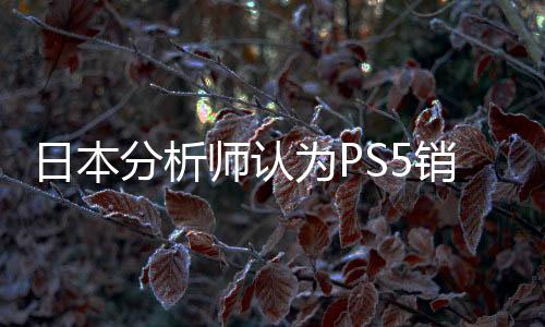 日本分析師認為PS5銷量虛高 而NS2將大賣特賣