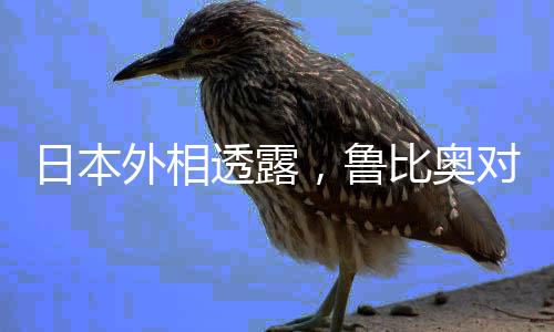 日本外相透露，魯比奧對中國態(tài)度轉(zhuǎn)向，不再那么強硬？