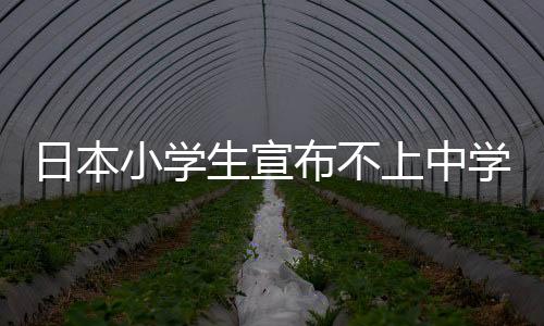 日本小學生宣布不上中學引熱議 游戲直播過的很好