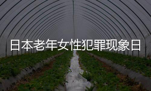 日本老年女性犯罪現(xiàn)象日益嚴重，多重因素引發(fā)關(guān)注熱點