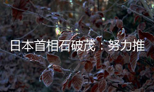 日本首相石破茂：努力推進日中戰(zhàn)略互惠關(guān)系全面發(fā)展