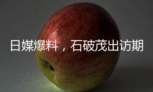日媒爆料，石破茂出訪期間不忘恩愛(ài)秀場(chǎng)，展現(xiàn)個(gè)人魅力與深厚情感