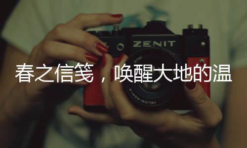 春之信箋，喚醒大地的溫柔來信