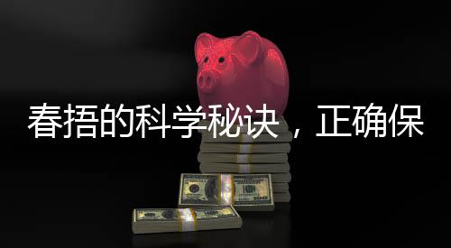 春捂的科學(xué)秘訣，正確保暖之道
