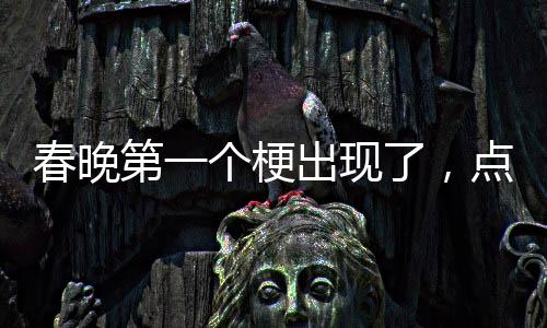 春晚第一個(gè)梗出現(xiàn)了，點(diǎn)燃全民歡樂之夜的一把火