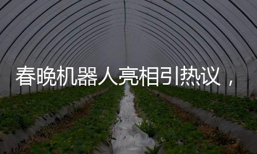 春晚機(jī)器人亮相引熱議，下場(chǎng)時(shí)腳步引發(fā)關(guān)注