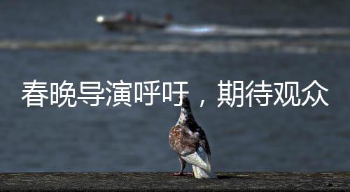 春晚導(dǎo)演呼吁，期待觀眾對我們寬容以待