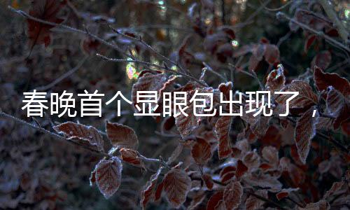 春晚首個(gè)顯眼包出現(xiàn)了，揭曉今年的大亮點(diǎn)