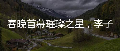 春晚首幕璀璨之星，李子柒成為首個女生鏡頭焦點