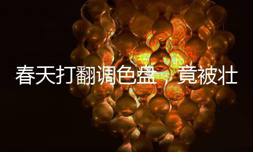 春天打翻調(diào)色盤，竟被壯鄉(xiāng)人蒸成了飯！