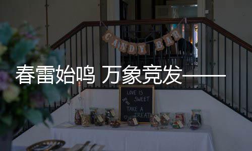 春雷始鳴 萬象競發(fā)——春季生機(jī)勃發(fā)之際的新篇章