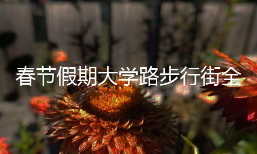 春節(jié)假期大學(xué)路步行街全天候上線，楊浦公安提前設(shè)置行車交通指示牌