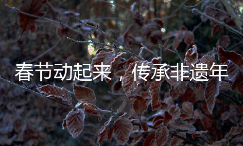 春節(jié)動起來，傳承非遺年味兒