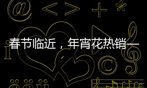 春節(jié)臨近，年宵花熱銷——花卉市場(chǎng)的熱鬧與繁榮