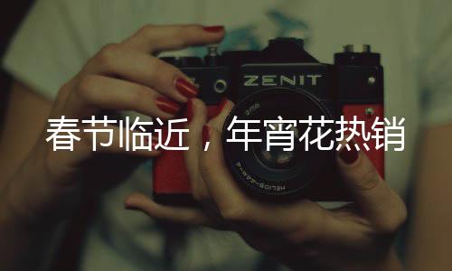 春節(jié)臨近，年宵花熱銷
