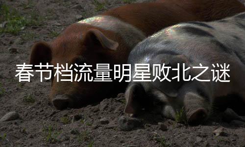 春節(jié)檔流量明星敗北之謎，原因探究與深度解析