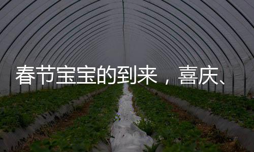 春節(jié)寶寶的到來，喜慶、希望與未來的美好序曲