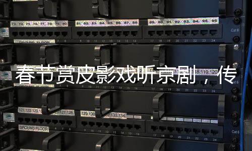 春節(jié)賞皮影戲聽(tīng)京劇，傳統(tǒng)藝術(shù)演繹華夏文化盛宴